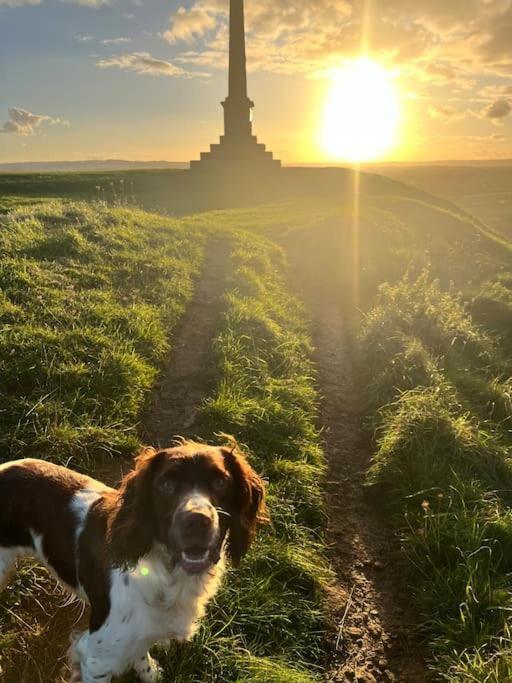 Spaniel With Views Of Ham Hill, Stoke Sub Hamdon Holiday home *