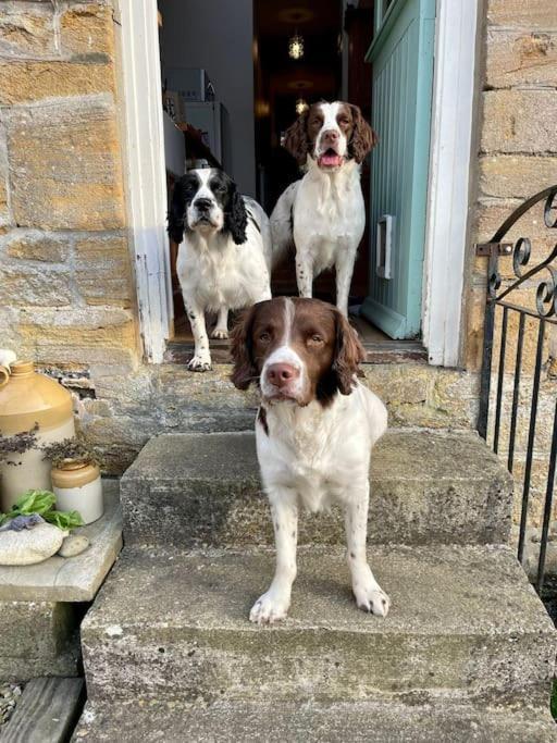 Holiday home Spaniel With Views Of Ham Hill, Stoke Sub Hamdon