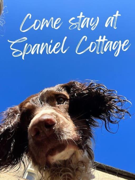 Holiday home Spaniel With Views Of Ham Hill, Stoke Sub Hamdon