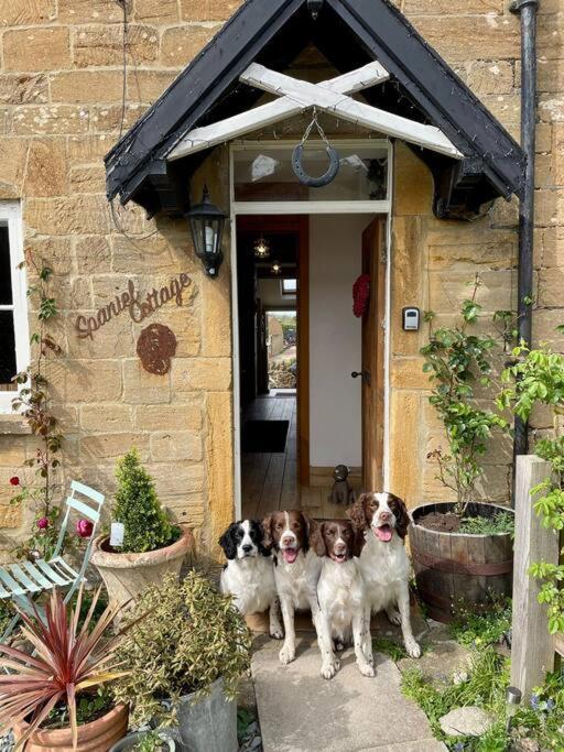 Holiday home Spaniel With Views Of Ham Hill, Stoke Sub Hamdon Martock